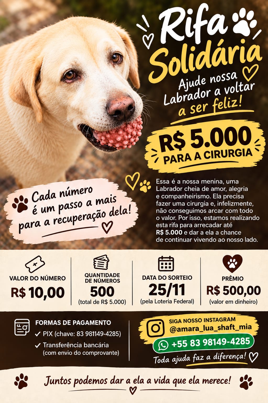Labrador da Rifa Solidária